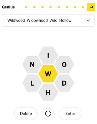 Example of a past New York Times Spelling Bee game